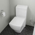 EAGO TB336 Eco-Friendly Toilet Modern-Style w/ High Efficiency Low Flush