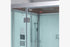 Platinum DZ960F8 Steam Shower - 39" x 35" x 89"