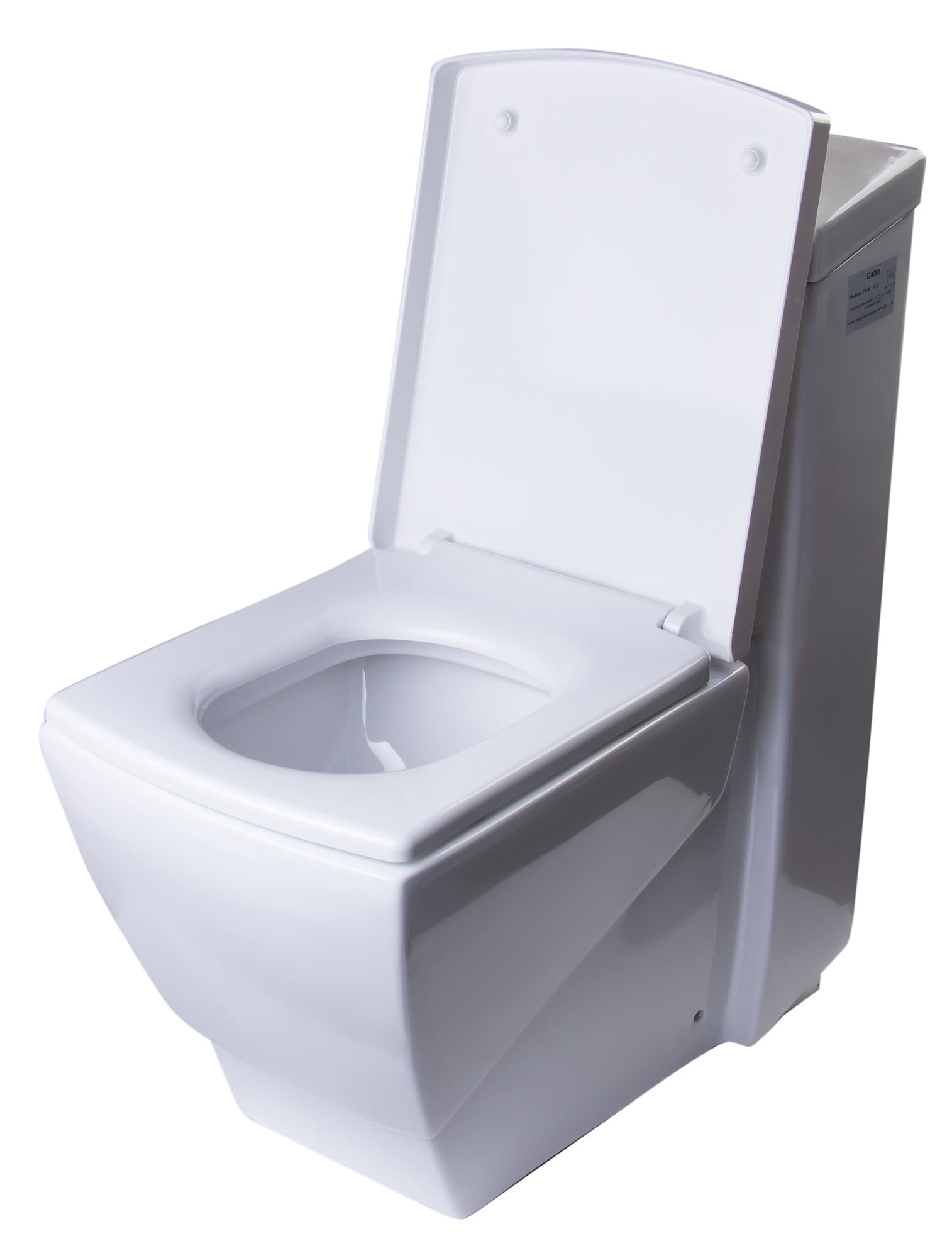 EAGO TB336 Eco-Friendly Toilet Modern-Style w/ High Efficiency Low Flush