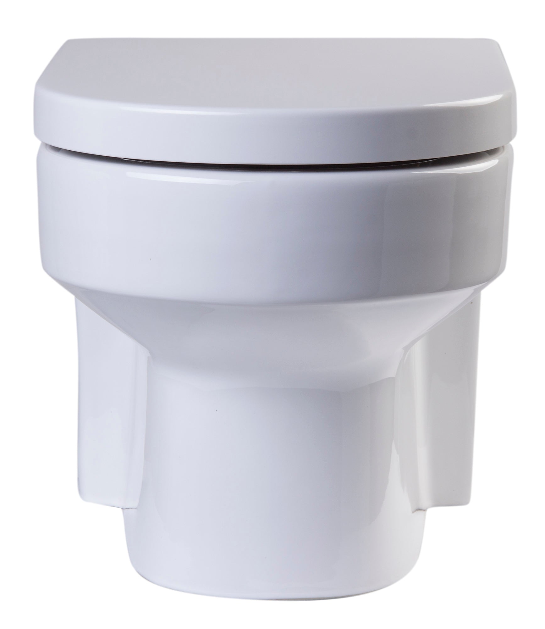 EAGO WD101 Toilet Bowl Wall Mount Dual-Flush Modern White Ceramic