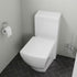 EAGO TB336 Eco-Friendly Toilet Modern-Style w/ High Efficiency Low Flush